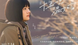 十年一品温如言电视剧,电视剧十年一品温如言情感之旅