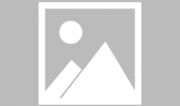 宝可梦动漫,梦想启航，友谊与冒险的奇幻之旅