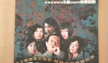 暴雨梨花电视剧,风雨飘摇中的爱情与信仰