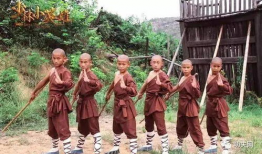 电视剧少林寺,武林传奇，禅武合一的传奇故事